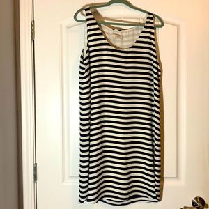 LOFT shift dress. Size Large. Navy blue, and white.